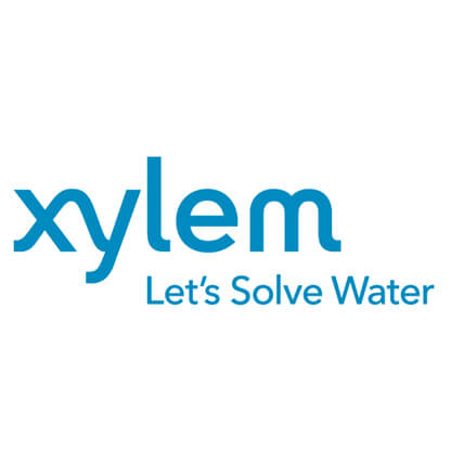 xylem
